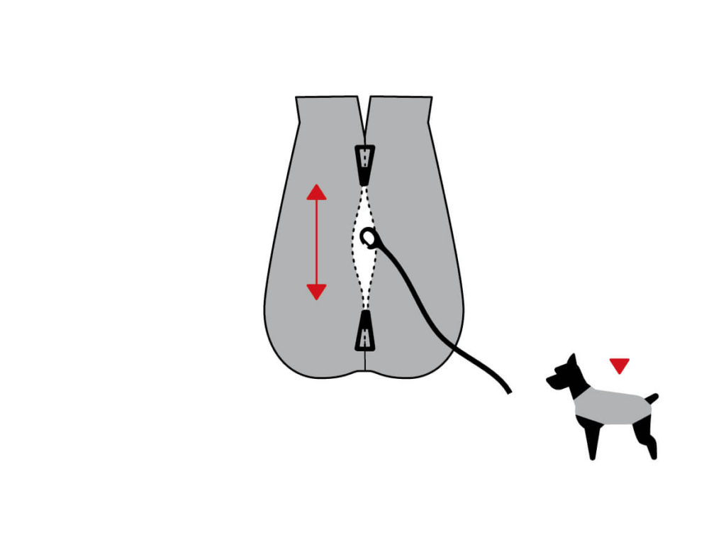 DogBite_Grafik_Oeffnung
